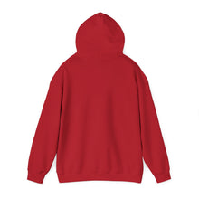 Load image into Gallery viewer, Christian Hoodie - John 3:16 Unisex Hoodie