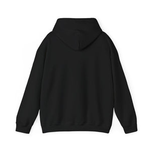 Christian Hoodie - John 3:16 Unisex Hoodie