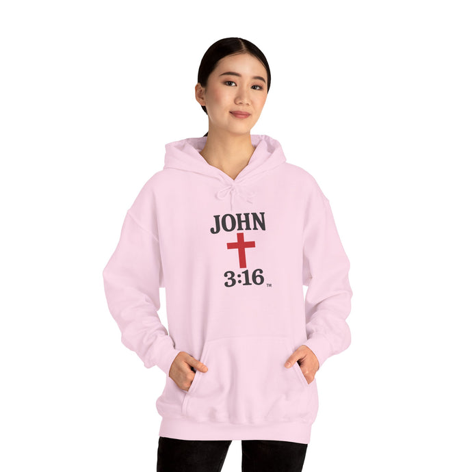 John 3:16 Unisex Hoodie