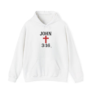 John 3:16 Unisex Hoodie
