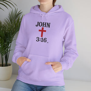 John 3:16 Unisex Hoodie