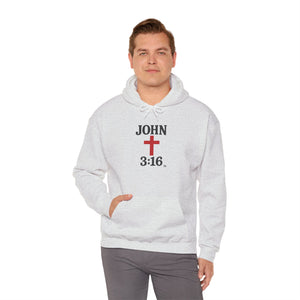John 3:16 Hoodie