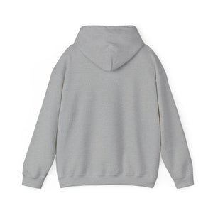 Christian Hoodie - John 3:16 Unisex Hoodie
