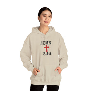 John 3:16 Unisex Hoodie
