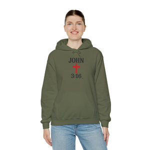 John 3:16 Unisex Hoodie