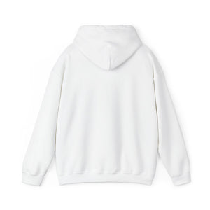 Christian Hoodie - John 3:16 Unisex Hoodie