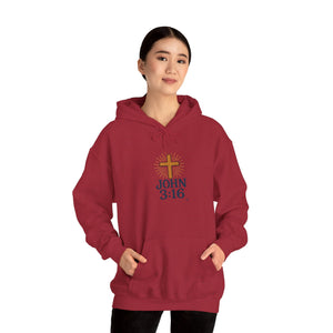 Christian Hoodie - John 3:16 Unisex Hoodie