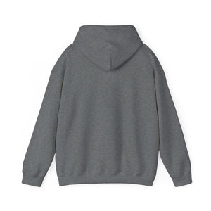 Christian Hoodie - John 3:16 Unisex Hoodie