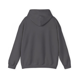 Christian Hoodie - John 3:16 Unisex Hoodie