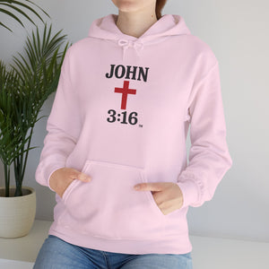 John 3:16 Unisex Hoodie