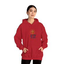 Load image into Gallery viewer, Christian Hoodie - John 3:16 Unisex Hoodie