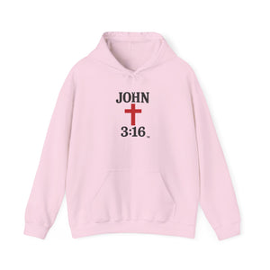 John 3:16 Unisex Hoodie