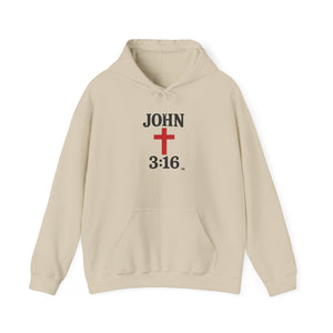 John 3:16 Unisex Hoodie