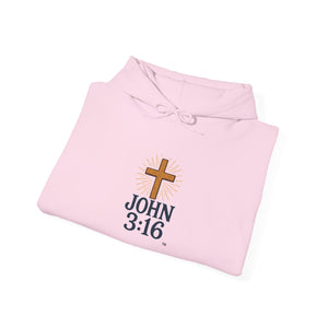 Christian Hoodie - John 3:16 Unisex Hoodie