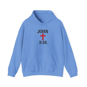 John 3:16 Unisex Hoodie