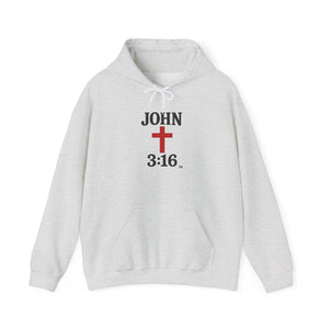 John 3:16 Unisex Hoodie