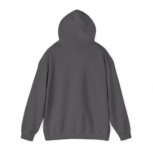 Christian Hoodie - John 3:16 Unisex Hoodie