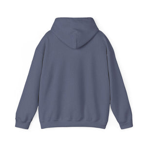 Christian Hoodie - John 3:16 Unisex Hoodie