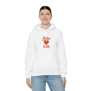 Faith-Inspired Unisex Hoodie with John 3:16 Design, Cozy Christian Apparel, Gift for Believers, Church Outing, Religious Fashion