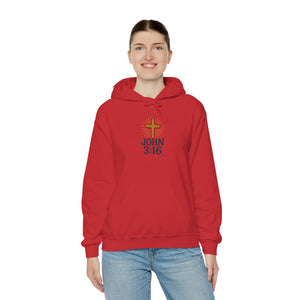 Christian Hoodie - John 3:16 Unisex Hoodie