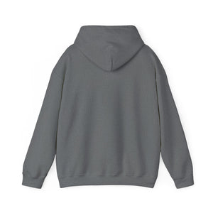 Christian Hoodie - John 3:16 Unisex Hoodie