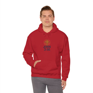 Christian Hoodie - John 3:16 Unisex Hoodie