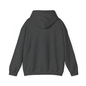 Christian Hoodie - John 3:16 Unisex Hoodie