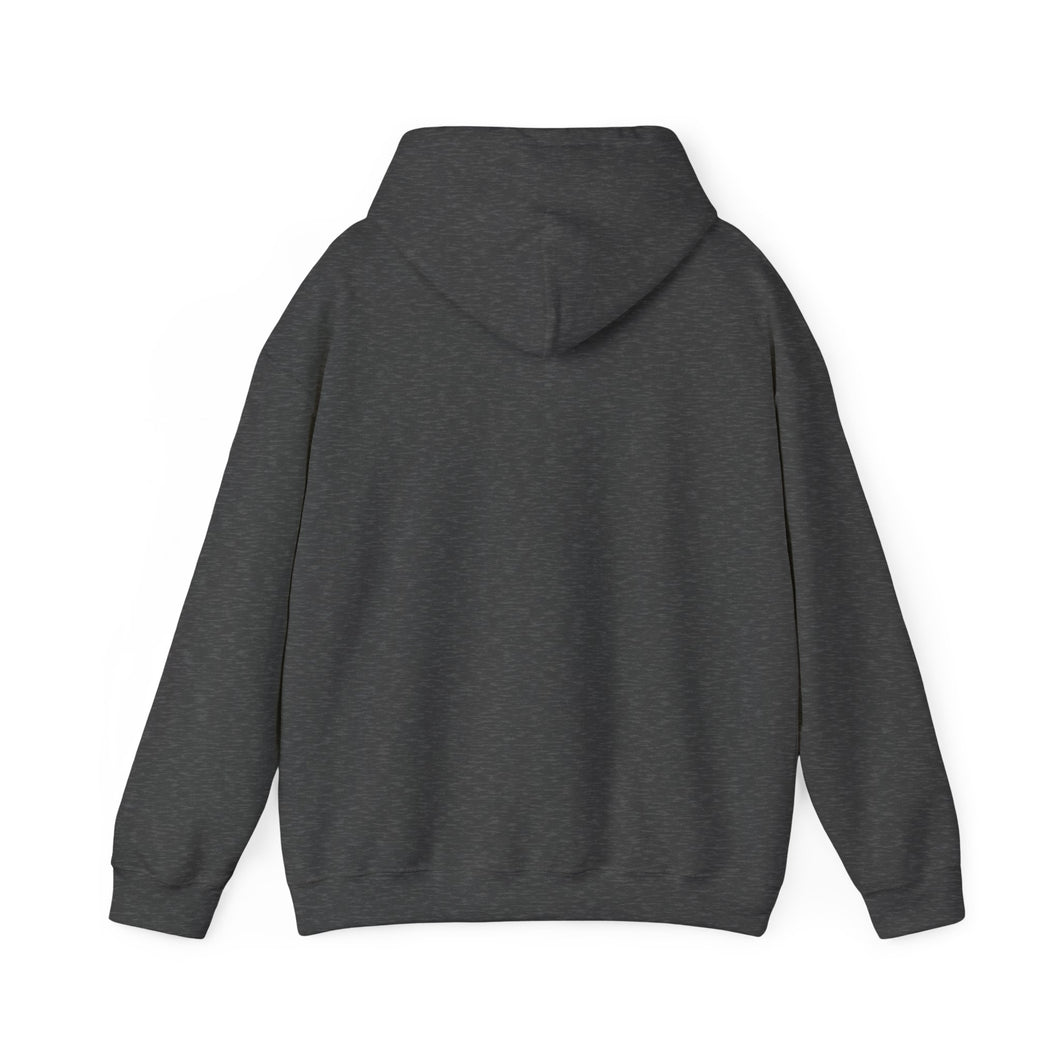 Christian Hoodie - John 3:16 Unisex Hoodie