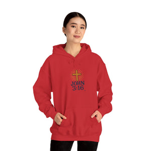 Christian Hoodie - John 3:16 Unisex Hoodie