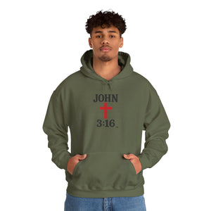 John 3:16 Unisex Hoodie