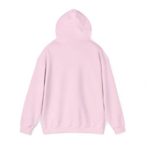 Christian Hoodie - John 3:16 Unisex Hoodie
