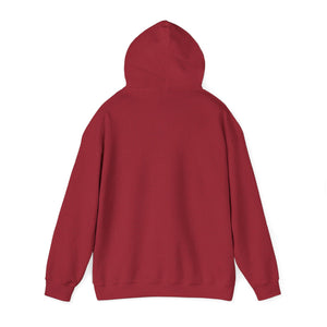Christian Hoodie - John 3:16 Unisex Hoodie