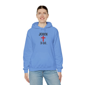John 3:16 Unisex Hoodie