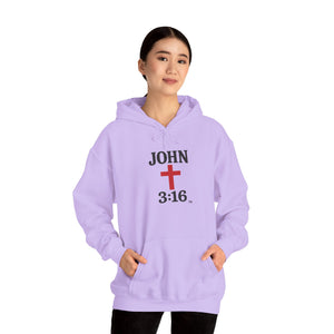 John 3:16 Unisex Hoodie