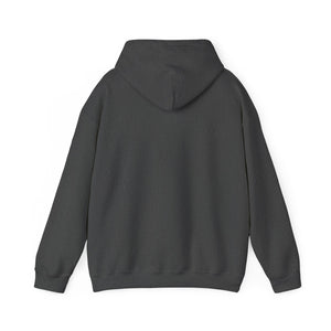 Christian Hoodie - John 3:16 Unisex Hoodie