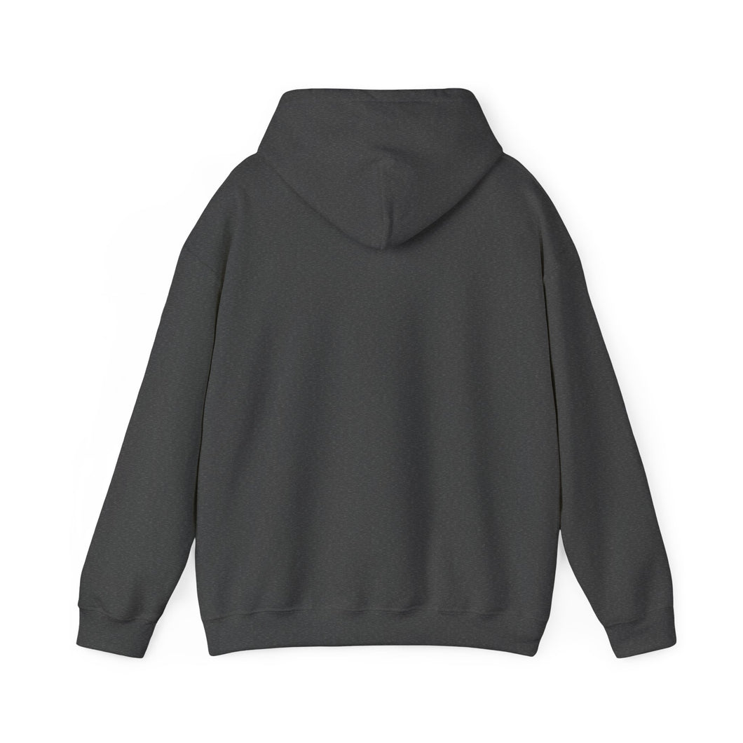 Christian Hoodie - John 3:16 Unisex Hoodie