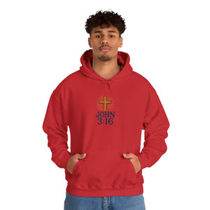 Christian Hoodie - John 3:16 Unisex Hoodie