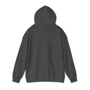 Christian Hoodie - John 3:16 Unisex Hoodie