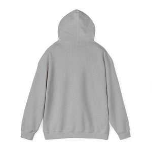 Christian Hoodie - John 3:16 Unisex Hoodie